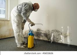  , USA Mold Removal Services Pros